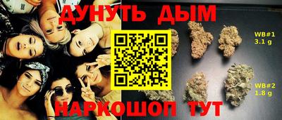шишки Сланцы